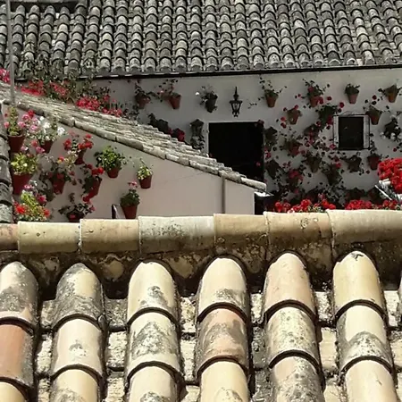 Los Tejares Del Alcazar Córdoba Exterior foto